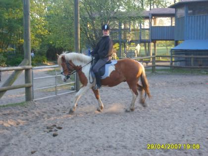 Reitbeteiligung in Kiel gesucht