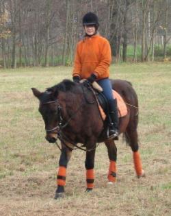 Biete Reitbeteiligung für Reitponystute