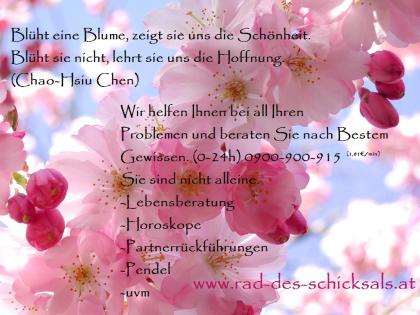 ZUKUNFTSBLICK