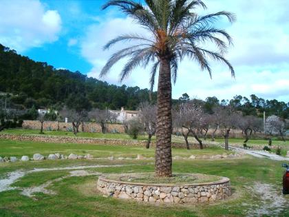 Ferienfinca-Mallorca-Port Andrax