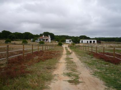 Finca in Andalusien zu verkaufen - Pferdehaltung