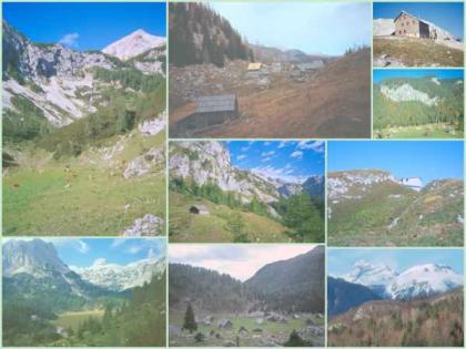 FeWo in Bohinj ( Oberkrain ) - Slowenien