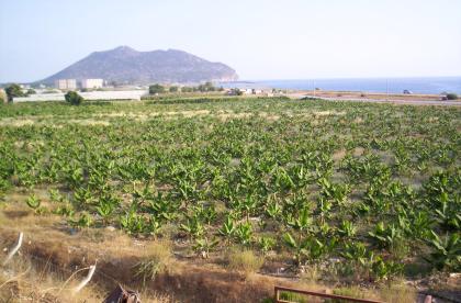 Tourrismus bau platz in Antalya-Gazipasa