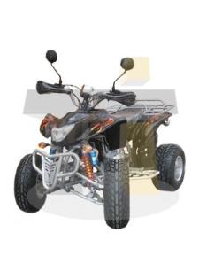 ATV 250cc mit Straßenzulassung für 2 Personen