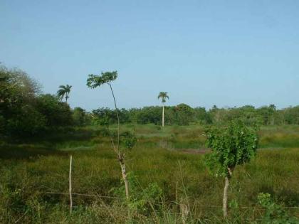 Verkaufe Bauland in Cabarete, in Strandnähe, 2550 m  ( 1650 m , 900 m  )