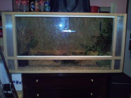 OSB Terrarium 120/60/60