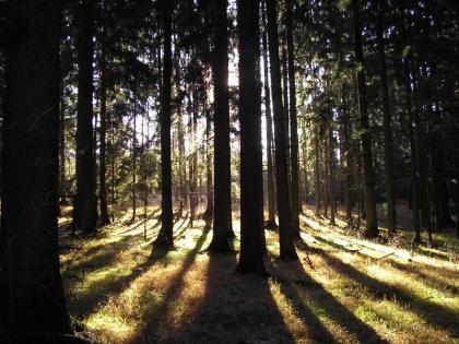 Erzweg: Durch das Land der tausend Feuer