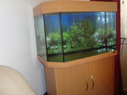 Juwel Aquarium 160lt