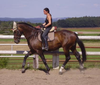 Möchte denn niemand reiten?