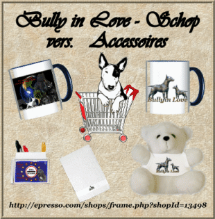 Bullterrier - Accessiores