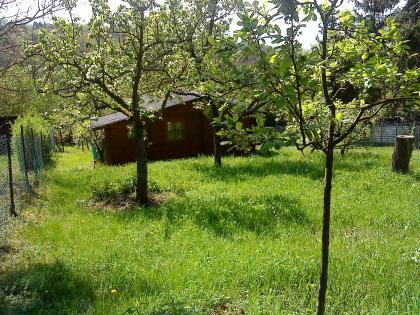 Grundstück in unmittelbarer Nähe zum Golfplatz Bruchsal 978 qm, Blockhaus, Obstb