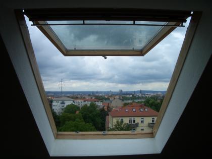 VELUX Klapp-Schwing-Fenster, 45 Öffnungswinkel Panorama