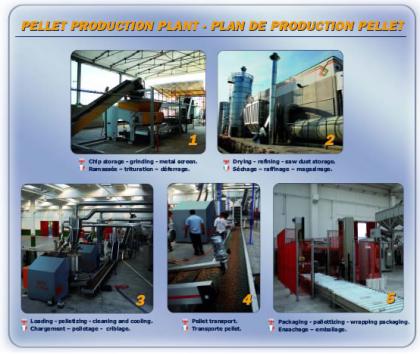 Pferdemist pelletieren Briketiertechnik Anlagenbau ect