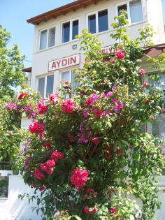 Aydin Pension-Güzelcamli-Nationalpark-TR