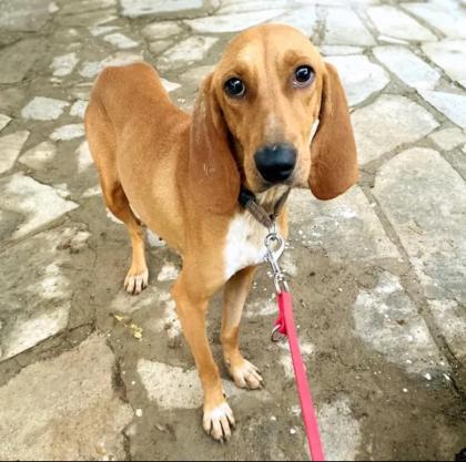 Maila sucht ein passendes Zuhause