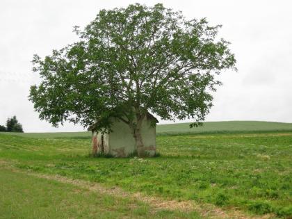 Schönes Freizeitgrundstück bei Senden/Hittistetten mit Häusschen