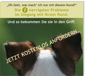 Hundeerziehung - Die Tricks der erfolgreichen Hundetrainer