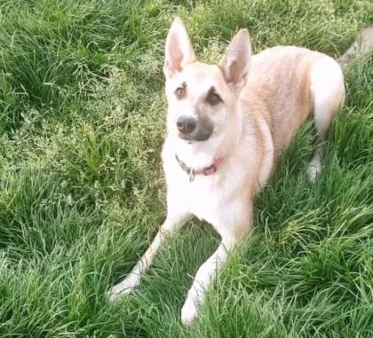 Lolita sucht ein passendes Zuhause