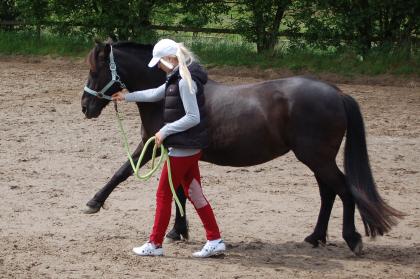 Hübsche Ponystute