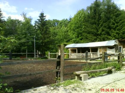 Hof in Dürnau (Kr. Göppingen) hat noch Boxen frei!