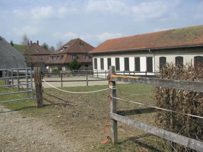 Reit-etc-Ferien in der Schweiz
