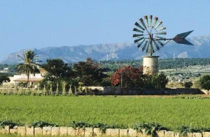 Mallorca: Frühlingstraum und Mandelblüte