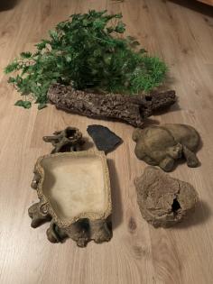 Verkaufe Kornnatter + Terrarium falls benötigt