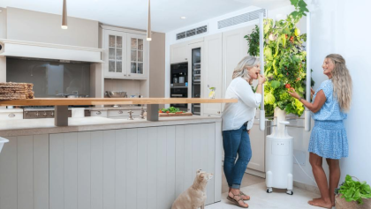 Greeny Garden Master - ganzjährig Bio Gemüse und Salate in der eigenen Wohnung a