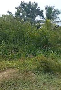 Ferien-Haus als Kapital-Anlage auf der Insel Martinique
