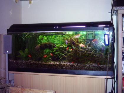 160 Liter Komplettaquarium