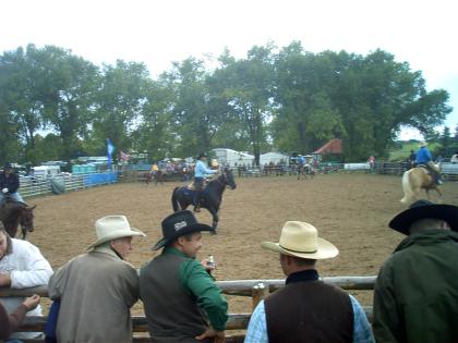 Westernreitsport