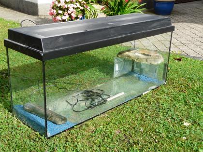 Aquarium mit Zubehör 100x30x40 Juwel