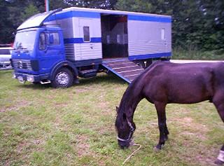 PFERDETRANSPORTER für 4 Pferde und Wohnabteil