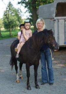 OucH Welsh A Wallach, 6Jahre alt, Stockmass 1,19m, sucht einen Platz fürs Leben.