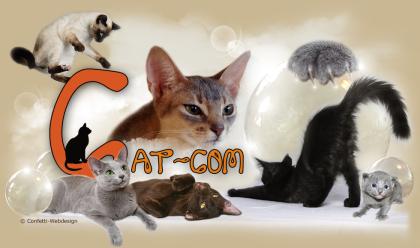 CatCom-Die Cat Community