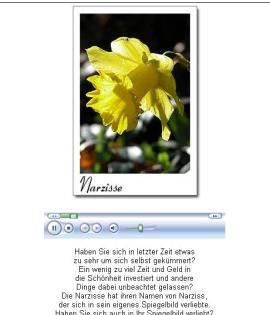  Kostenloses Blumen - Tarot mit Tonausgabe  . . . .