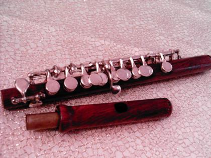 Verkaufe Piccolo aus Palisanderholz Nbg.