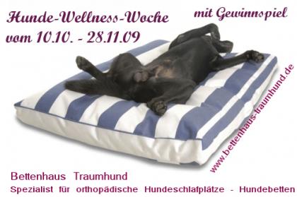 Hunde-Wellness-Special bei Traumhund