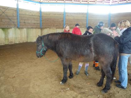  Workshop: Neue Wege in der Heilung von Mensch und Tier
