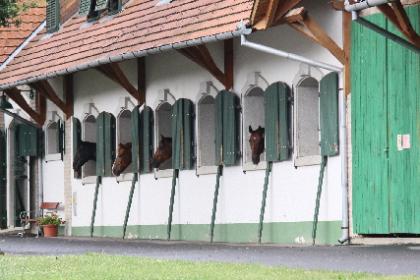 Ihr Reiterhotel in Ungarn - Nationalpark Örseg