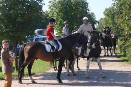 Biete Reitbeteiligung in 23701 Süsel(Ostholstein)