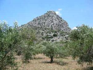 Schoenes Baugrundstueck nahe Nafplio/Griechenland