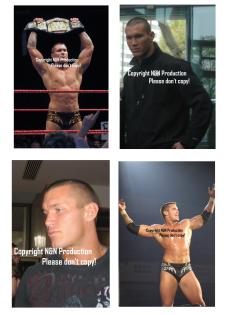 Verkaufe Wrestling Hotel- und Ringbilder
