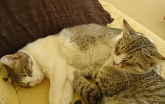 Jung und dynamisch suchen .....