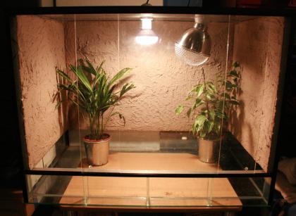 Terrarium 60hx80bx50t mit rückwand und beleuchtung