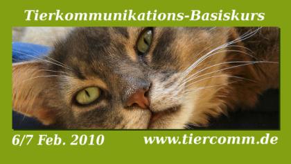 Tierkommunikations Basisseminar 6/7 Feb. Emden / Niedersachsen