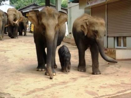 Ihre Reise Ziel  Sri lanka 