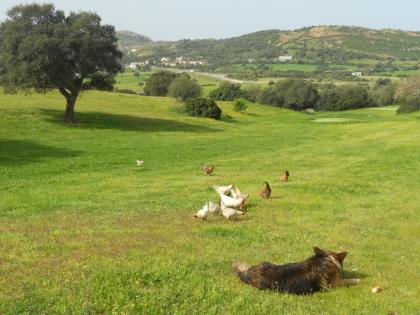 Malerischer Agriturismo mitten in Grünen in Strandnähe Olbia/ Gallura