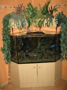 5 Eckaquarium mit Unterschrank