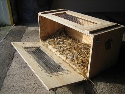 Hasen-Transportkisten